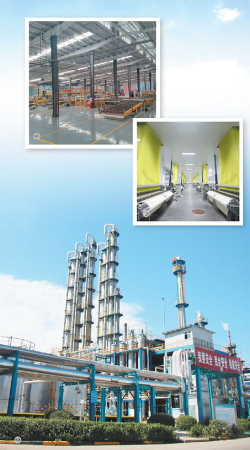 綠色轉(zhuǎn)型賦能產(chǎn)業(yè)新生 以技術(shù)推廣深入推進(jìn)新型工業(yè)化的深度觀(guān)察